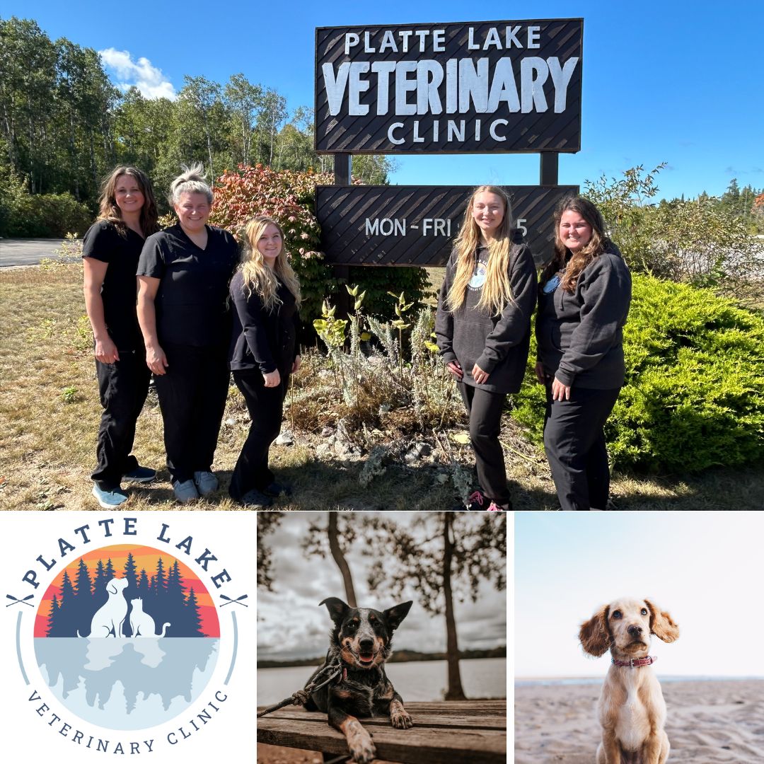 Platte Lake Veterinary Clinic