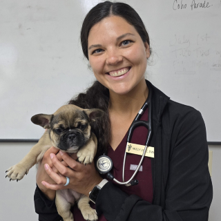 Dr. Stec with Frenchie 